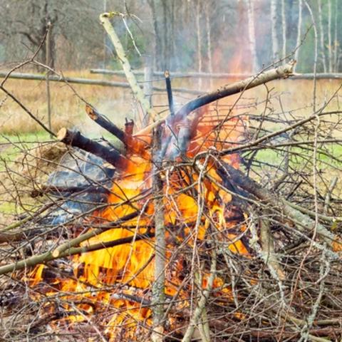 Kzlemny - Tjkoztats az avar s kerti hulladk getsre vonatkoz szablyokrl